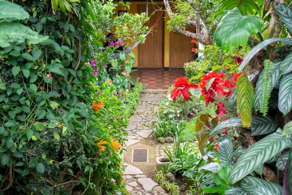 Sentier Dans Jardin Arrière Cour Avec Mur Plantes Arbres Fleurs — Photo