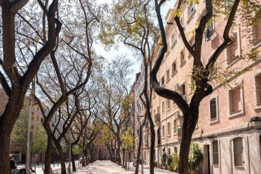 Barcelona 'nın yerleşim bölgelerinin arasında ağaçlarla kaplı bir patika ya da ara sokak. Apartman binalarının dışı