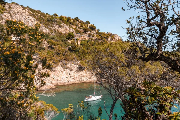 Coastal Landscape Rocky Hills Trees Boat Yacht Sailing Shore Costa — ストック写真