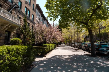 Brooklyn, New York - 30 Nisan 2022: Park Slope, Brooklyn 'in yerleşim bölgesi. Ön bahçeli ve kaldırımlı kahverengi taşlar..