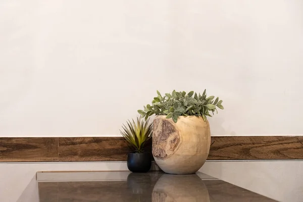 Fake plants standing on the table with reflection. Wooden planter against a wall with space for text