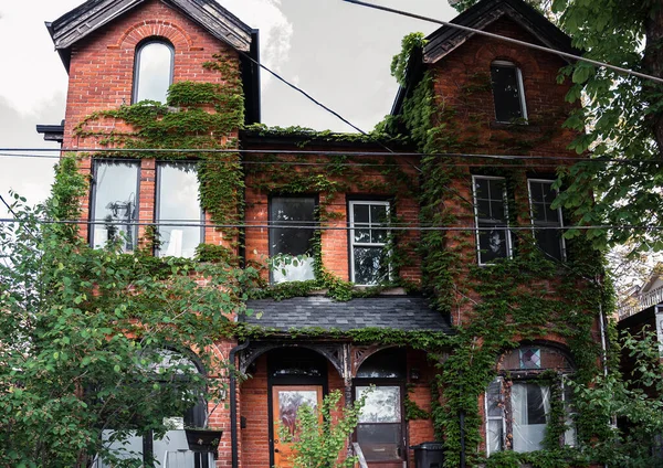 Budynek Czerwonej Cegły Rośliną Bluszczową Fasada Starego Domu — Zdjęcie stockowe