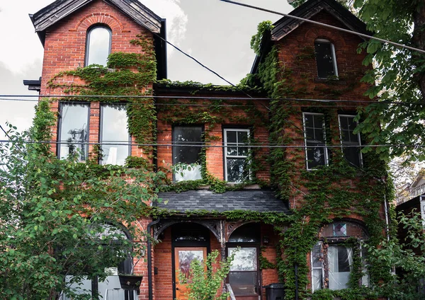 Bâtiment Brique Rouge Avec Plante Grimpante Lierre Façade Une Vieille — Photo