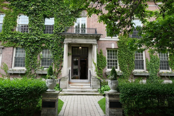 Brick wall building of the faculty club university of toronto, covered with climbing ivy plant. Entrance to the building