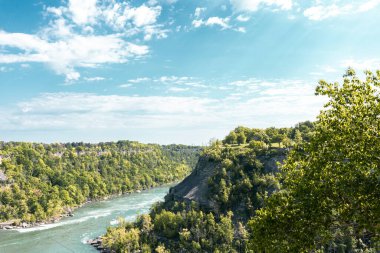 Güneşli bir günde Niagara Nehri 'nin hızlı suyu. Nehir kıyısında ağaçların olduğu bir uçurum.