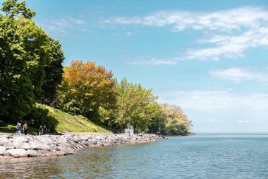 Su boyunca yürümek için ağaçlar olan kayalık bir sahil. Suyun yanında güneşli bir gün.