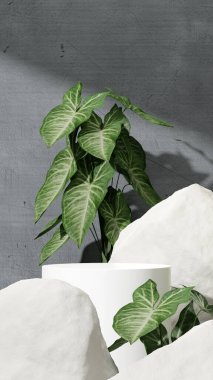 Ürün modelleme doğal arkaplanı için boş uzay podyumunun 3B görüntüleme görüntüsü