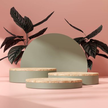 Ürün modelleme doğal arkaplanı için boş uzay podyumunun 3B görüntüleme görüntüsü