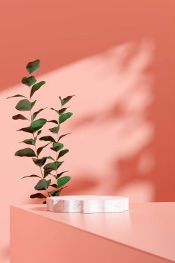 Ürün modelleme doğal arkaplanı için boş uzay podyumunun 3B görüntüleme görüntüsü