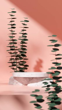 Ürün modelleme doğal arkaplanı için boş uzay podyumunun 3B görüntüleme görüntüsü