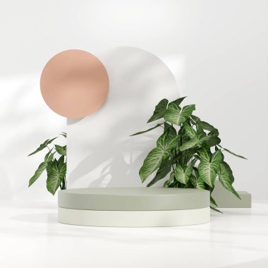 Ürün modelleme doğal arkaplanı için boş uzay podyumunun 3B görüntüleme görüntüsü
