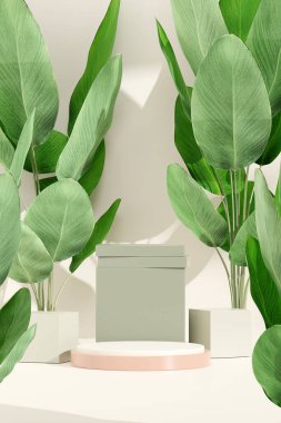 Ürün modelleme doğal arkaplanı için boş uzay podyumunun 3B görüntüleme görüntüsü