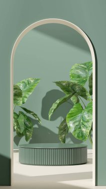 Ürün modelleme doğal arkaplanı için boş uzay podyumunun 3B görüntüleme görüntüsü