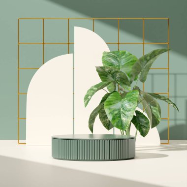 Ürün modelleme doğal arkaplanı için boş uzay podyumunun 3B görüntüleme görüntüsü