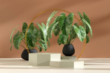 Ürün modelleme doğal arkaplanı için boş uzay podyumunun 3B görüntüleme görüntüsü