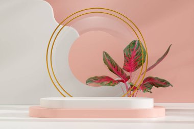 Ürün modelleme doğal arkaplanı için boş uzay podyumunun 3B görüntüleme görüntüsü