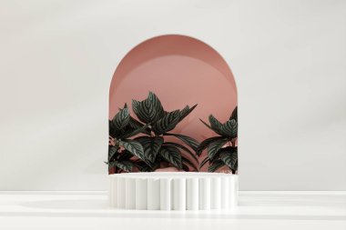 Ürün modelleme doğal arkaplanı için boş uzay podyumunun 3B görüntüleme görüntüsü