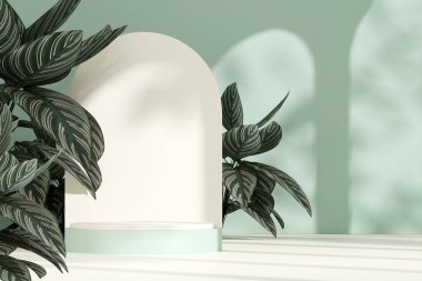 Ürün modelleme doğal arkaplanı için boş uzay podyumunun 3B görüntüleme görüntüsü