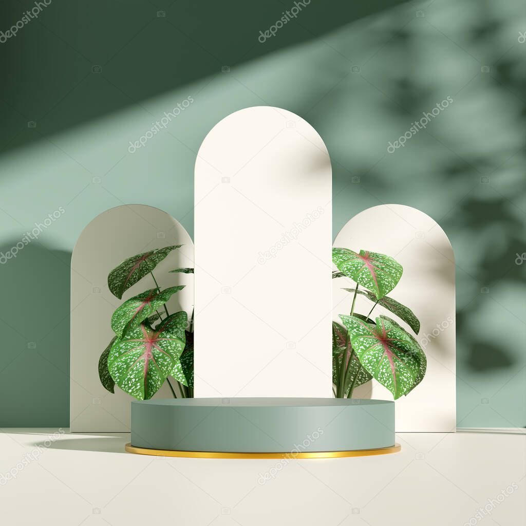 3D rendering image illustration of empty space podium display for product mockup natural background