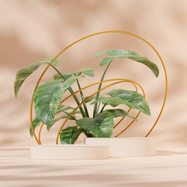 3D render mockup template white podium product in square with gold ring and alocasia plant