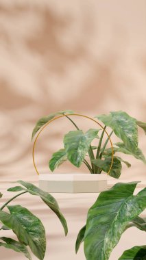 3D render mockup white green podium template in landscape with alocasia plant and gold ring 
