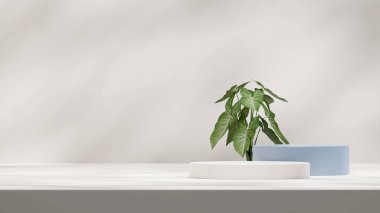 3d rendering mockup template with blue and white podium in landscape with syngonium plant and shadow