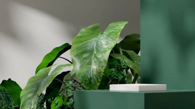 3d render mockup template of white podium in landscape with green pedestal, sun shadow, and plants