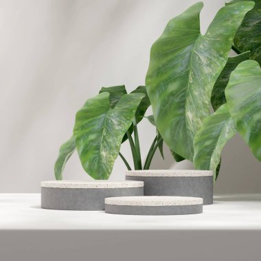 Terrazzo and concrete texture podium 3d rendering mockup in square with alocasia plant background