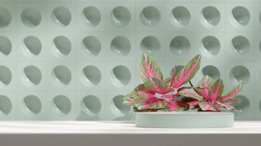 Geometrical shape green wall 3d rendering template mockup empty podium in landscape with aglaonema