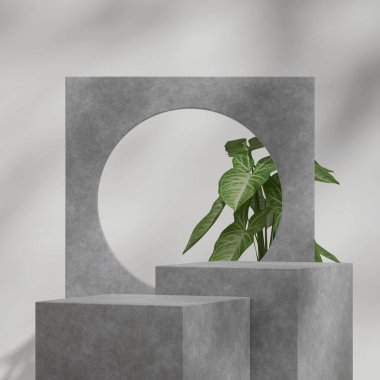 3D tasarım sahnesi beton desen tarzı podyum ve yeşil ev bitkisi