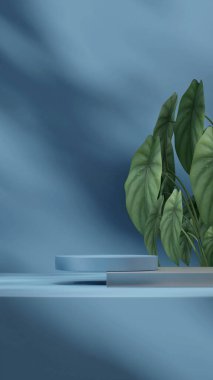 3D görüntüleme sahnesi mavi ve cam podyum yeşil yaprak kaladyum bitkisi ile portresi