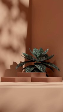 Pembe çizgili calathea ev bitkisi portresiyle kahverengi blok podyumu.