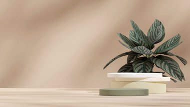 Pembe çizgili Calathea ev bitkisiyle yeşil gradyan podyumu 3D canlandırma sahnesi