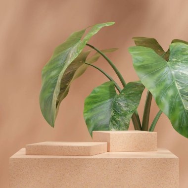 Kahverengi terrazzo desenli kare podyum yeşil alocasia ev bitkisi 3D modelleme alanı