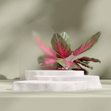 Beyaz kaya podyumunun kırmızı aglaonema ve buzlu cam işlemeli sahnesi.