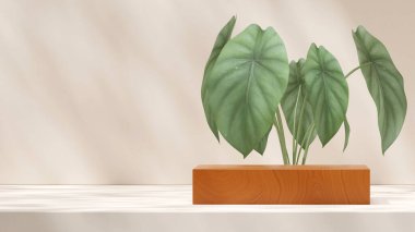 Yeşil kaladyum ev bitkisi içeren 3D ahşap desen podyumu oluşturma alanı