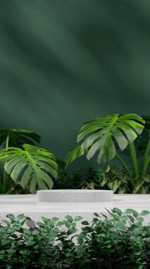 Beyaz granit podyumun üç boyutlu tasarımı yeşil canavar ev bitkisiyle portrede