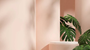 boş uzay ışığı pembe ve beyaz yuvarlak silindir podyum manzarada canavar bitki 3D görüntüleme