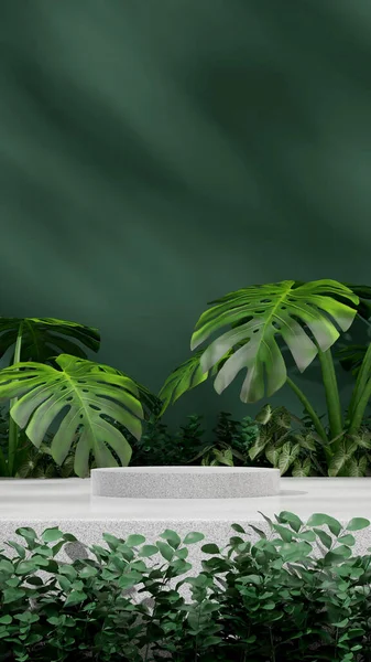 Modelo Maquete Renderização Pódio Granito Branco Retrato Com Planta Casa — Fotografia de Stock