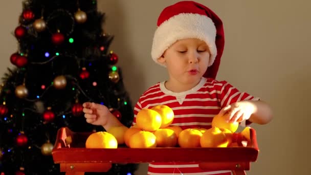 クリスマスの帽子のかわいい子供は、タンジェリンを出し、新年のための治療. — ストック動画