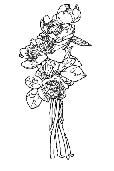 Bouquet Peonies Roses Sketch — 스톡 사진