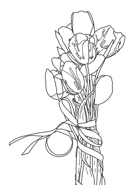 Tulips Beautiful Pattern Ribbon Sketch — Stok fotoğraf