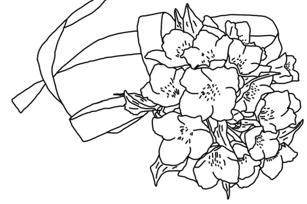 Jasmine Bouquet Ribbon Sketch — Stok fotoğraf