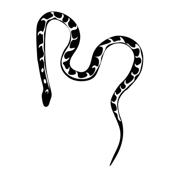 白色背景上的玉米蛇 — 图库矢量图片