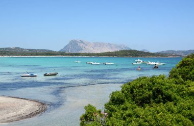 The spectacle of the Isle of Tavolara which rises 565 meters from the sea seen from the beach of Brandinchi in Gallura.