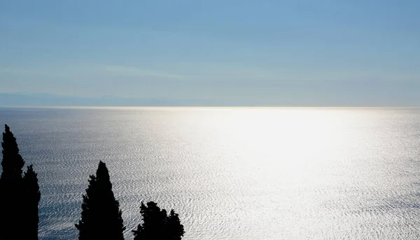 Silhouetten Von Zypressen Vor Den Unendlichen Spiegelungen Des Ligurischen Meeres — Stockfoto