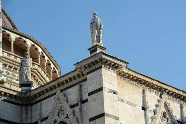 Siena Santa Maria Assunta Katedrali Talyan Romanesk Gotik Tarzında Inşa — Stok fotoğraf