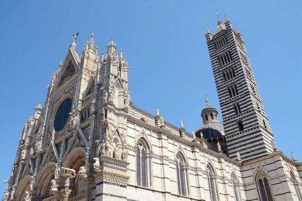 시에나 마리아 성당은 이탈리아 로마네스크 양식으로 이탈리아에서 아름다운 성당중 — 스톡 사진