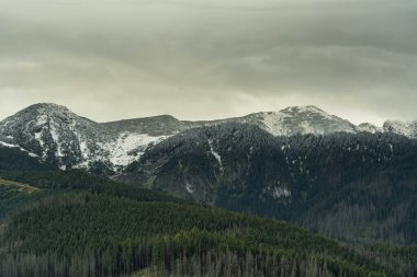 Yeşilliklerle kaplanmış güzel dağ zirveleri, inanılmaz vahşi yaşam