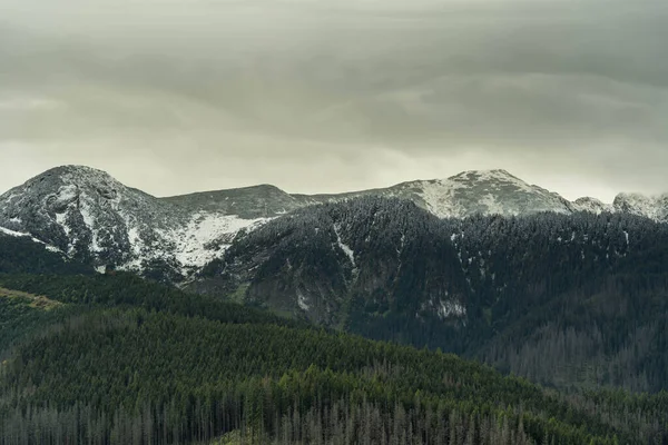 Belos picos de montanha cobertos de vegetação, incrível vida selvagem — Fotografia de Stock